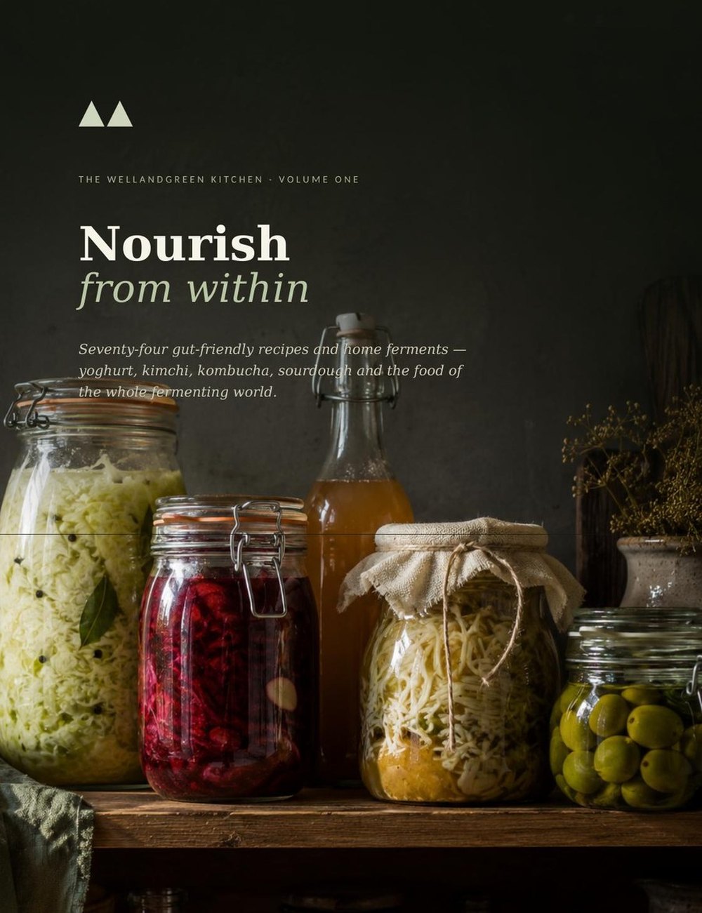 Nourish from within recipe book